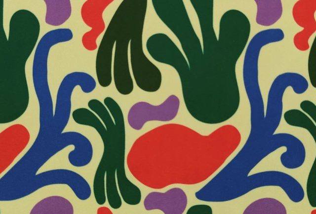 ANEMONE-NEW-LIFE-LEM-540-770x434