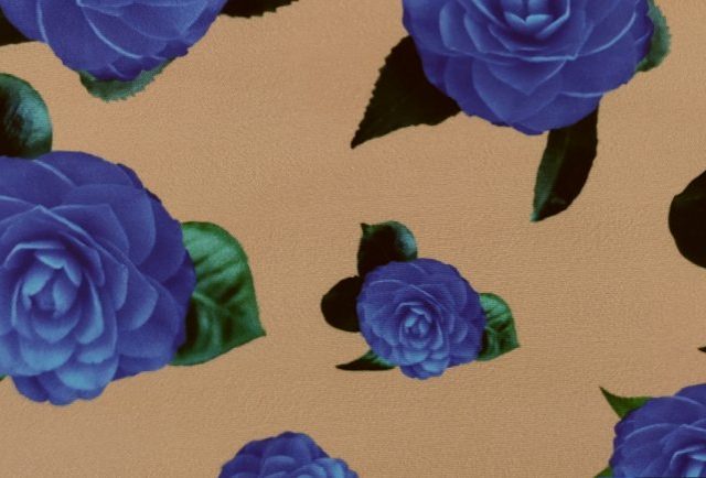 BOXWOOD-NEW-LIFE-LEM-486-770x434