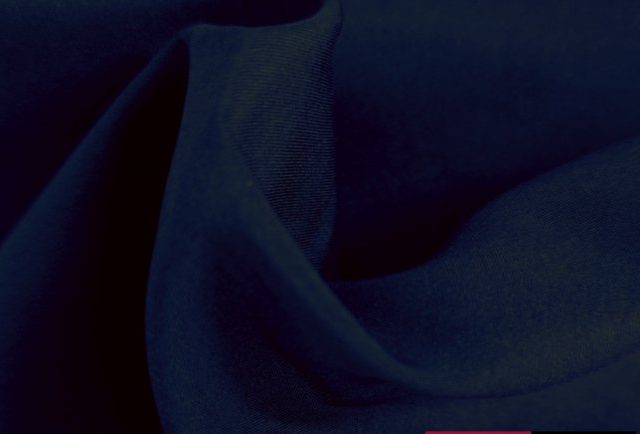 CAMELLIA-SEAQUAL-770x434