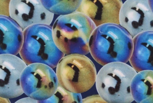 CARNATION-SEAQUAL-LEM-568-770x434