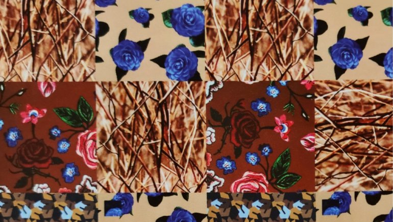 CHERRY-BLOSSOM-SEAQUAL-LEM-582-770x434