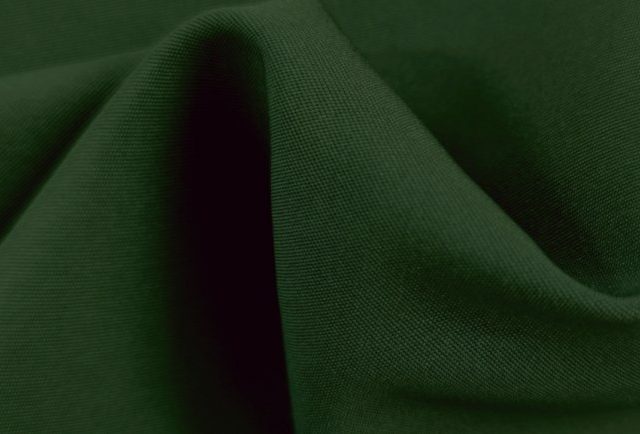 DAISY-NEW-LIFE-770x434