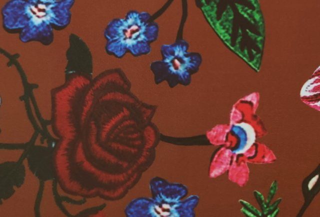 GERANIUM-NEW-LIFE-LEM-534-770x434