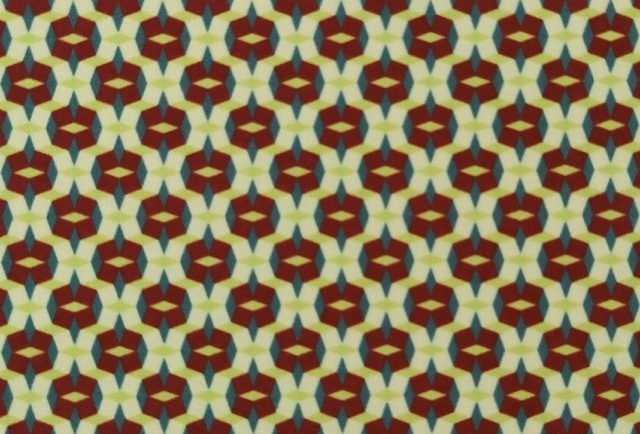 ORCHID-NEW-LIFE-LEM-527-770x434