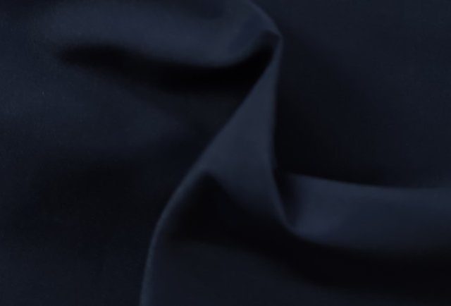 PETUNIA-SEAQUAL-770x434