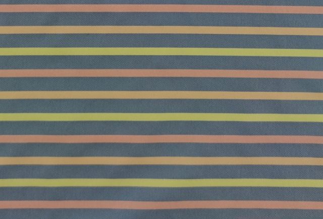 RISCA-1029-COLOUR-770x434