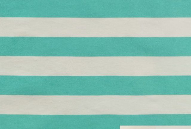 RISCA-1381-TACTEL-COLOUR-LYCRA-770x434