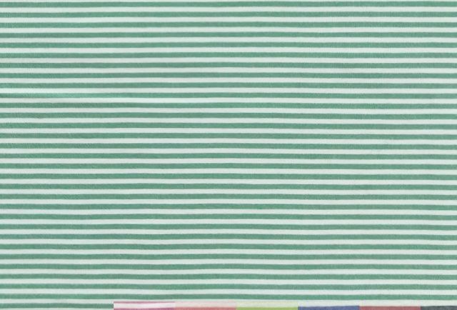 RISCA-329-COLOUR-770x434