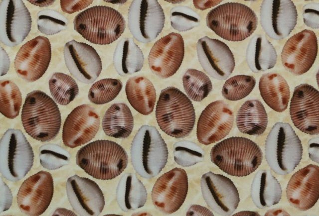 ROSE-NEW-LIFE-LEM-565-770x434