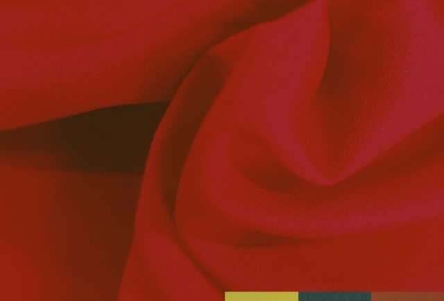 TULIP-SEAQUAL-770x434